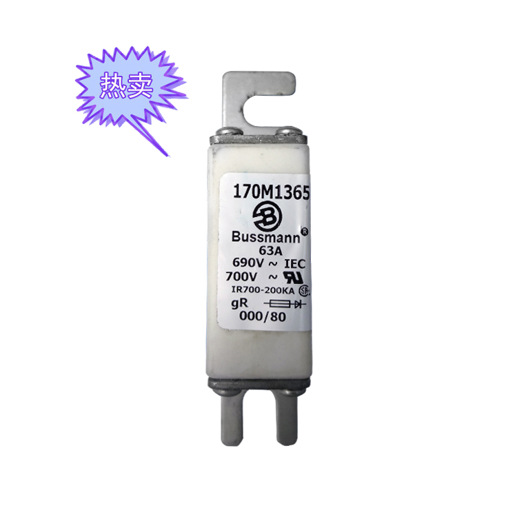 快速熔斷器170M1365（63A）